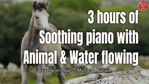 Soothing music with piano and river sound for 3 hours, relaxation music for meditate & focus