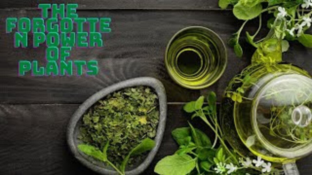 Discover the forgotten power of plants. Health and diet.