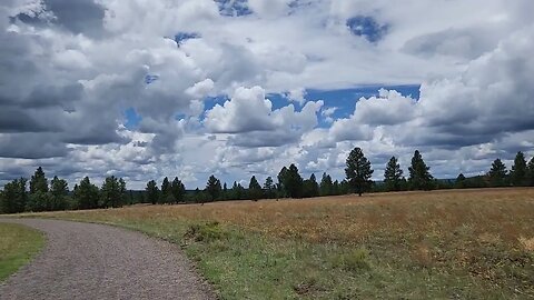 Flagstaff, AZ | Buffalo Park