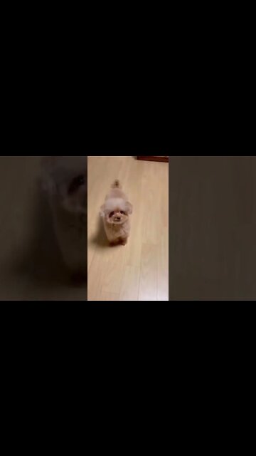 Breaking News! Please join Channeling event with ET's Beings ...messages to the Earth , #short