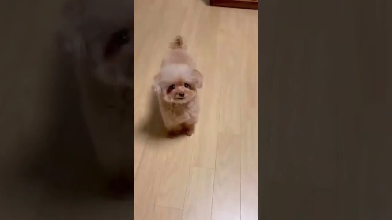 Breaking News! Please join Channeling event with ET's Beings ...messages to the Earth , #short