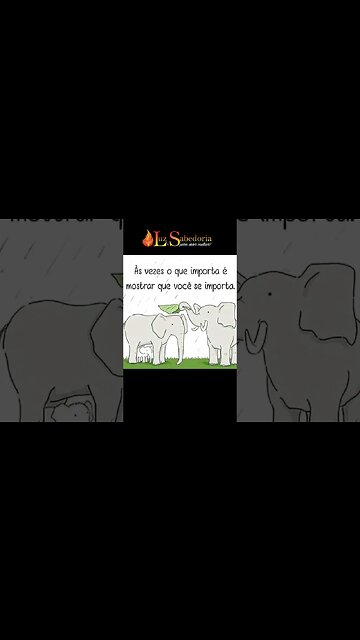 As vezes o que importa é MOSTRAR QUE VOCÊ SE IMPORTA