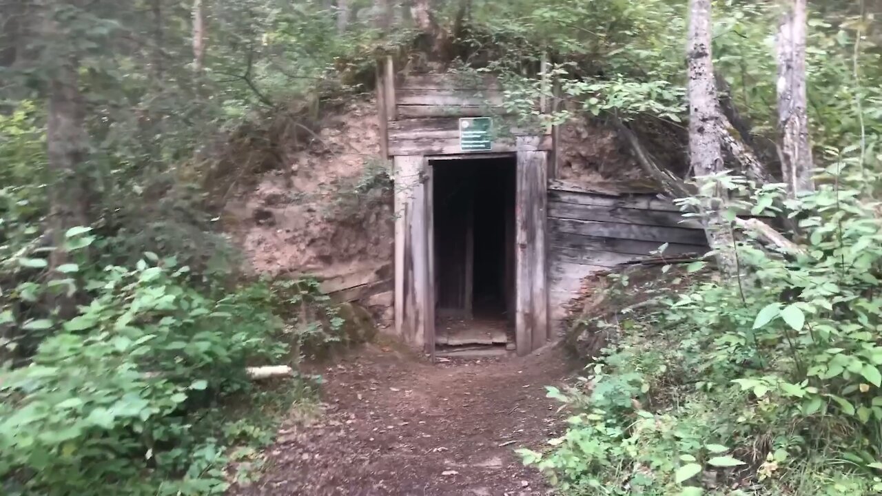 Creepy abandoned building in the woods.