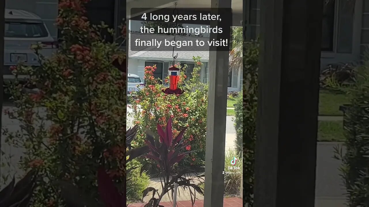 A Bird Spotted …