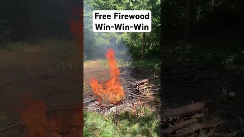 Burn it up before Mother Nature Does - Camp SunEeKey - HipCamp - Free Firewood