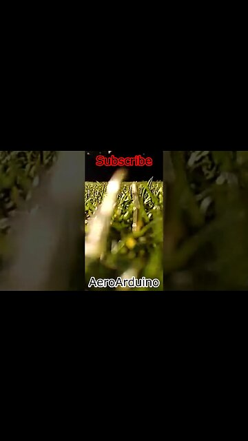 That's What Crawling Spider FPV #AeroArduino