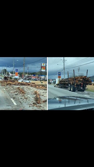 Logging truck spills load all over highway, causes massive damage