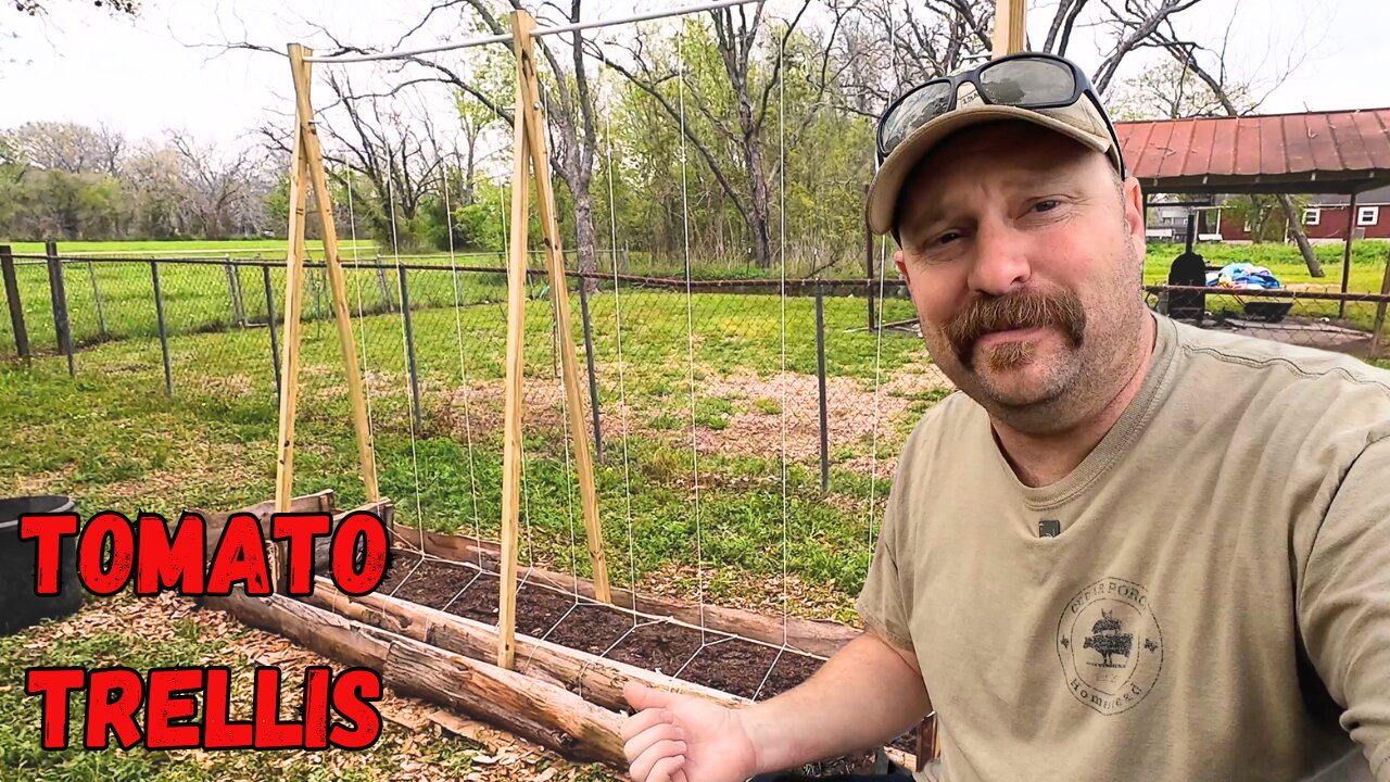 Overcoming Mistakes and Building New Tomato Trellis