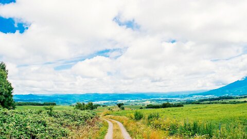 田舎道 Country Road