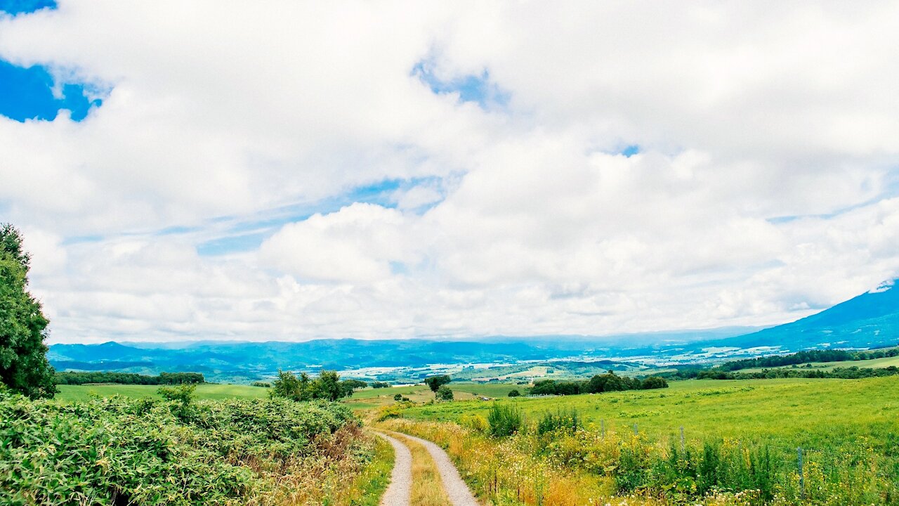 田舎道 Country Road