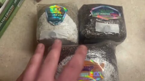 All in one Mushroom Grow Bags for any skill level | Super bags that do All the work!