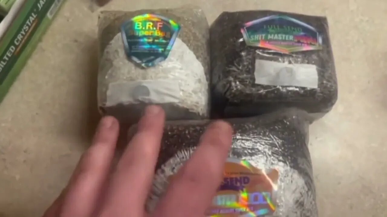 All in one Mushroom Grow Bags for any skill level | Super bags that do All the work!