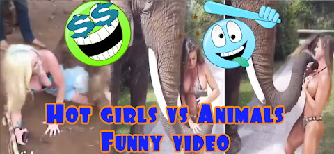 Hot girls vs Animals-Funny Animals vs Humans video Compilation