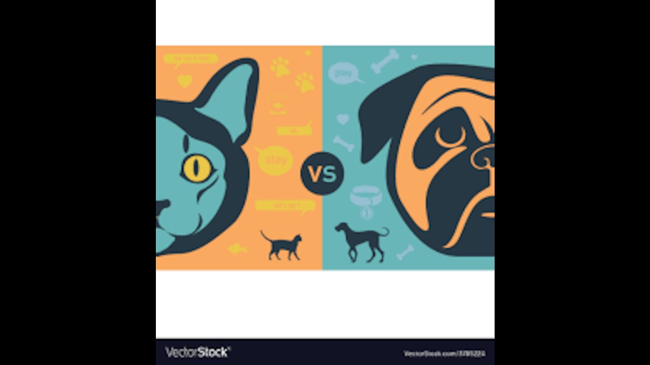 Cat vs Dog || Dog vs Cat