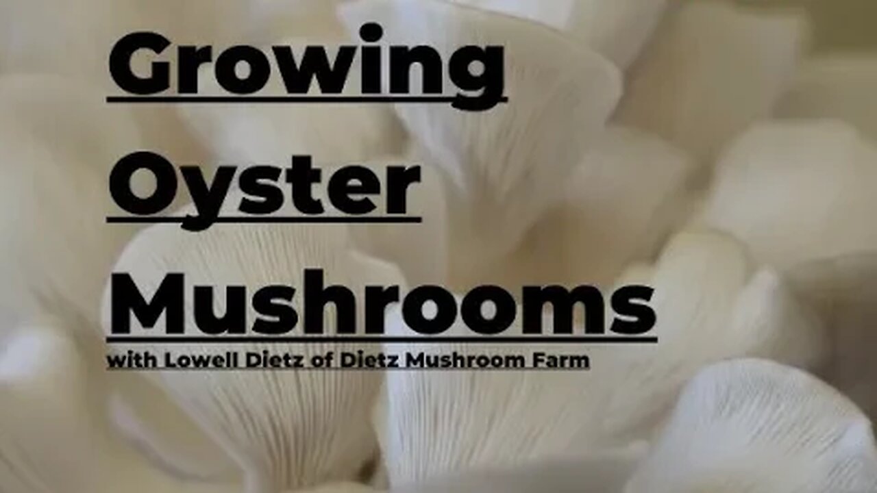 Growing Oyster Mushrooms Indoors