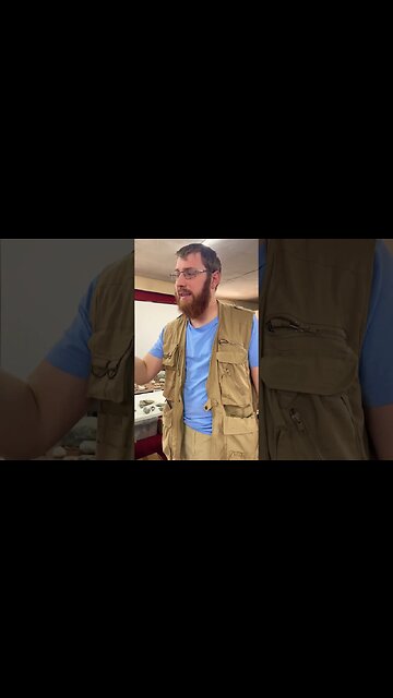 Fruit Bats Show Evidence of a Very Good World! #bats #fruit #fruitbats #fly #skeleton #jungle