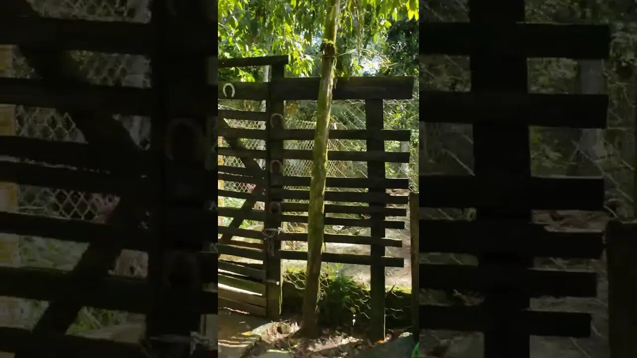 Mostrando o 3o ROTEADOR da Chácara já funcionando.