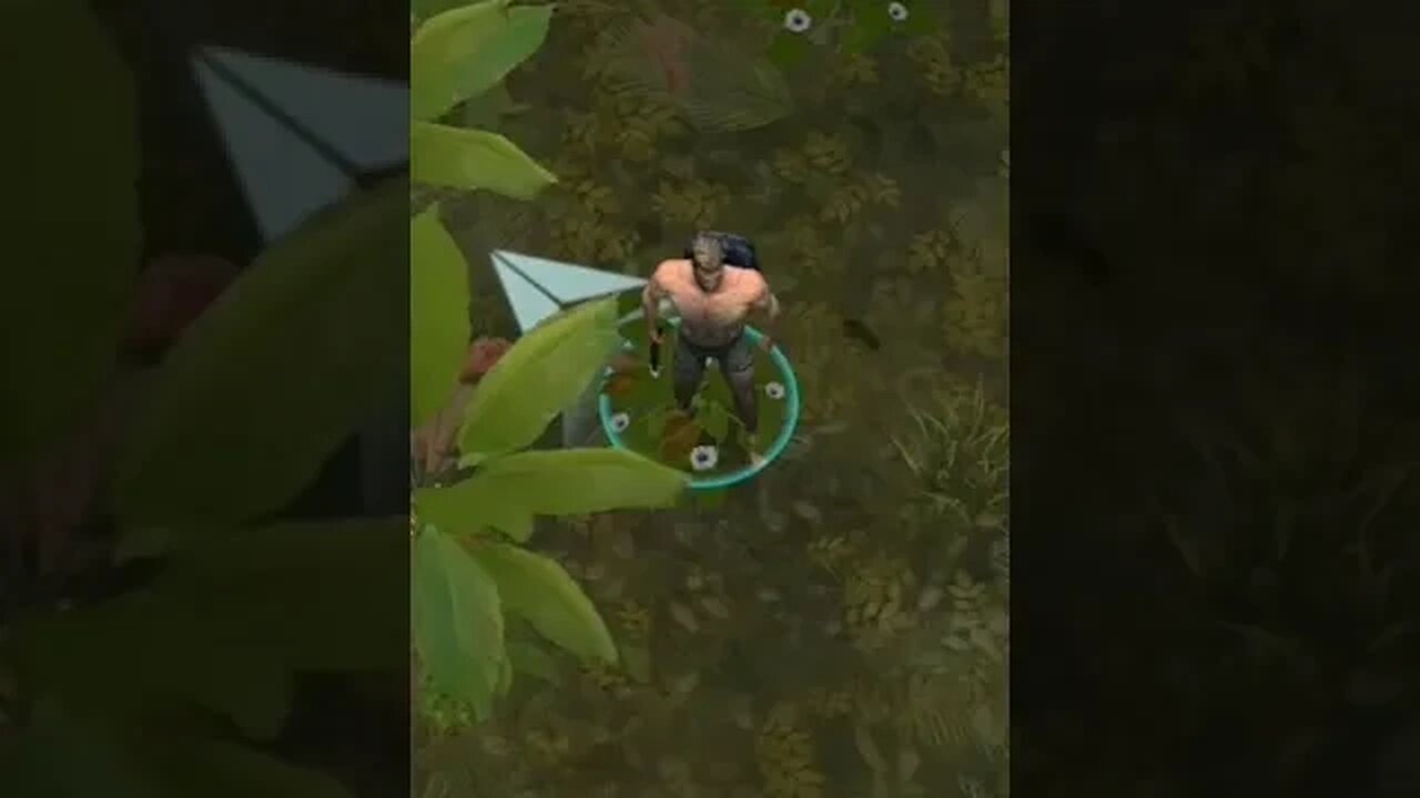 os novos jogos da wompley