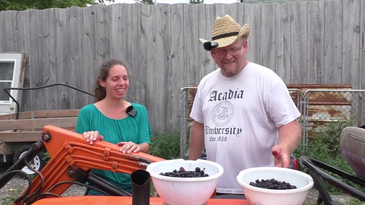 Blackberry Picking COMPETITION: Who will win?