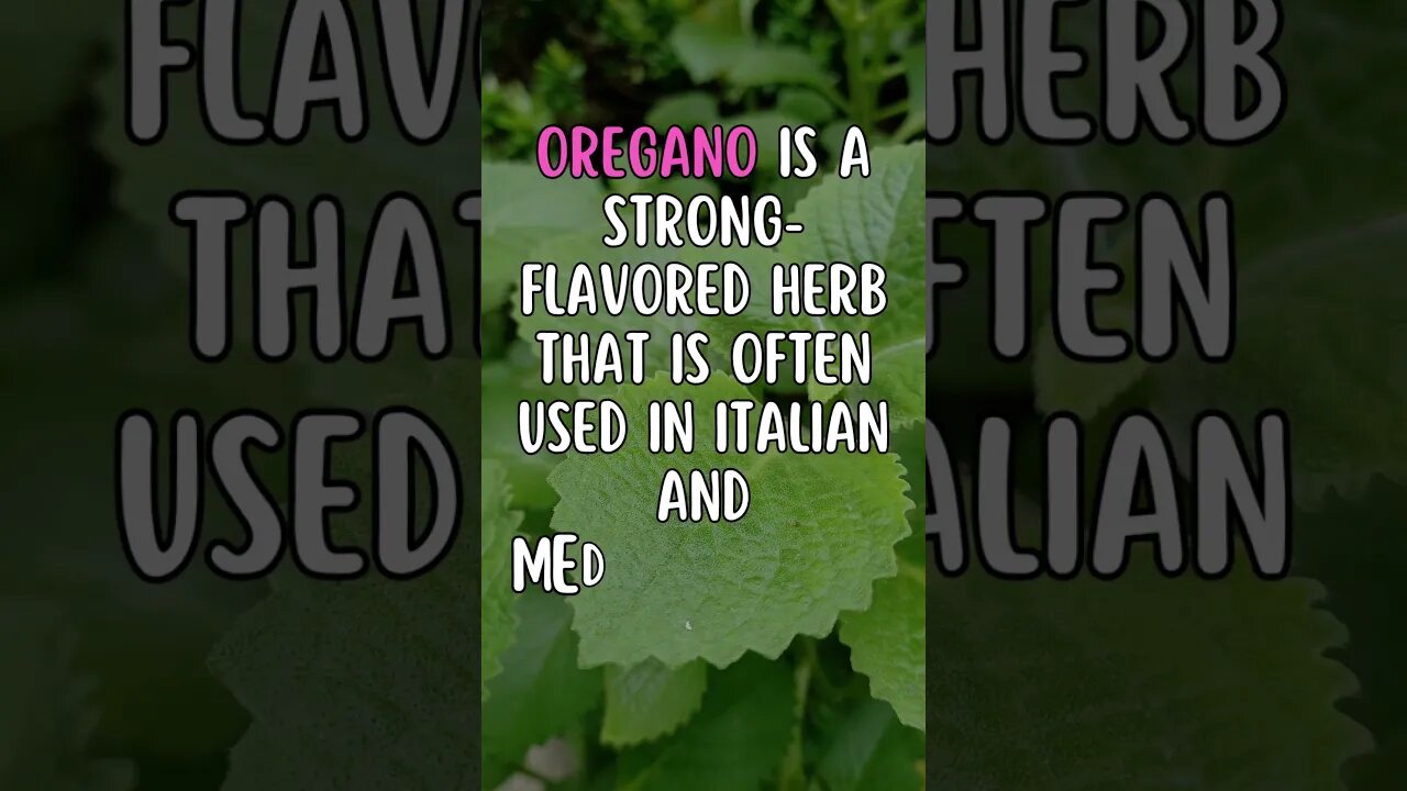 🌿Who Knew This Fact About Plants?#Shorts #ShortsFact #Plants #PlantFacts #oregano #italiancuisine