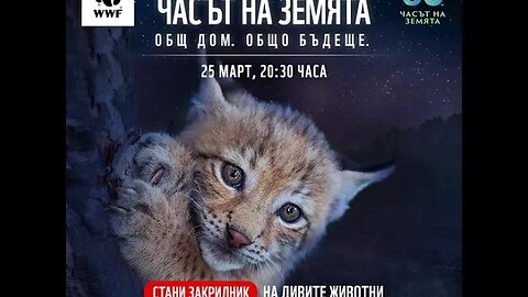 WWF Много служители на изпълнителната власт се занимават с незаконен лов
