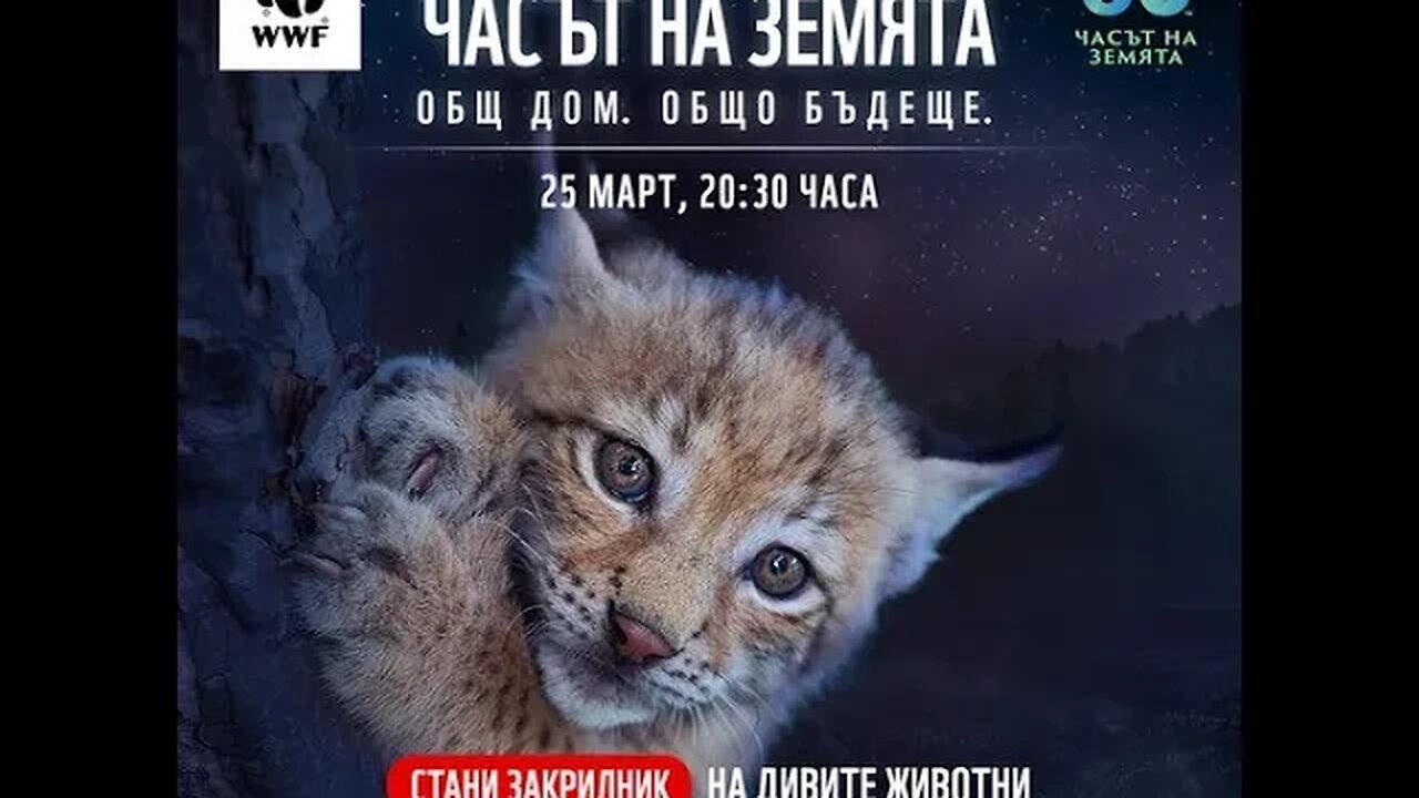 WWF Много служители на изпълнителната власт се занимават с незаконен лов