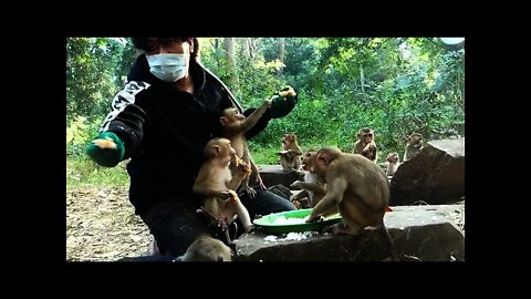 Good Brother Give Food To baby abandoned