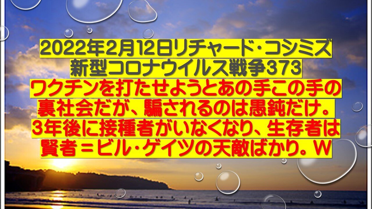 2022.02.12 リチャード・コシミズ新型コロナウイルス戦争373