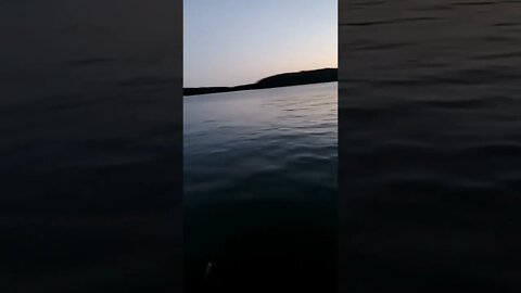 Take me back to Summer night fishing!