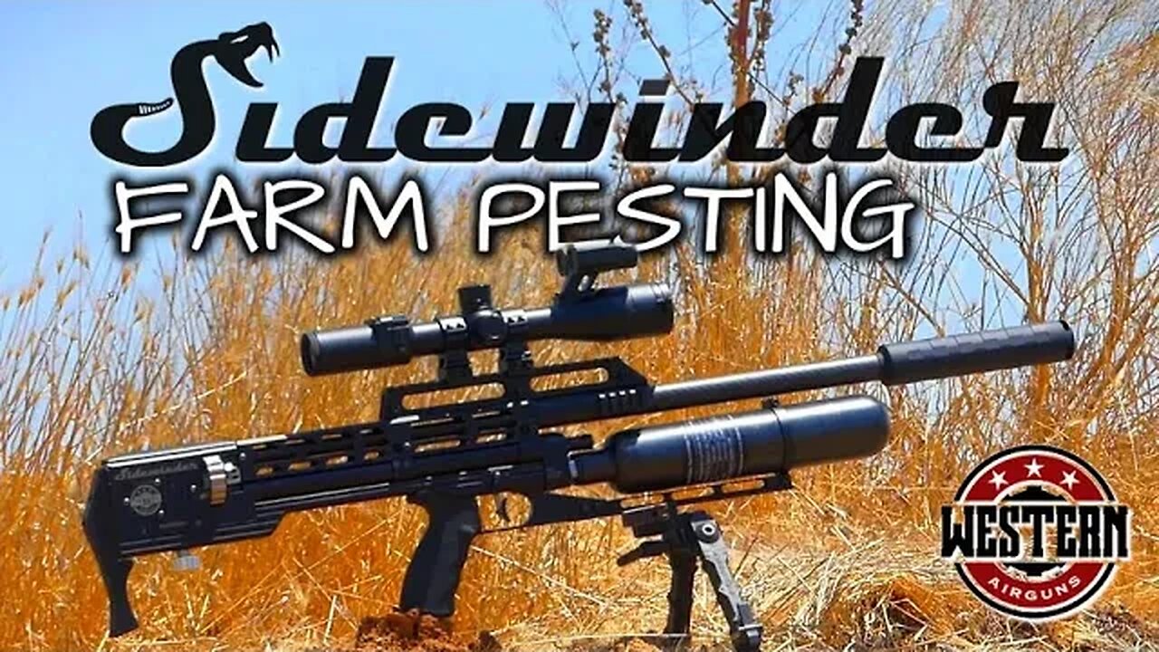 WESTERN AIRGUNS SIDEWINDER FARM PESTING