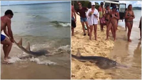 Cet homme attrape un poisson à mains nues!