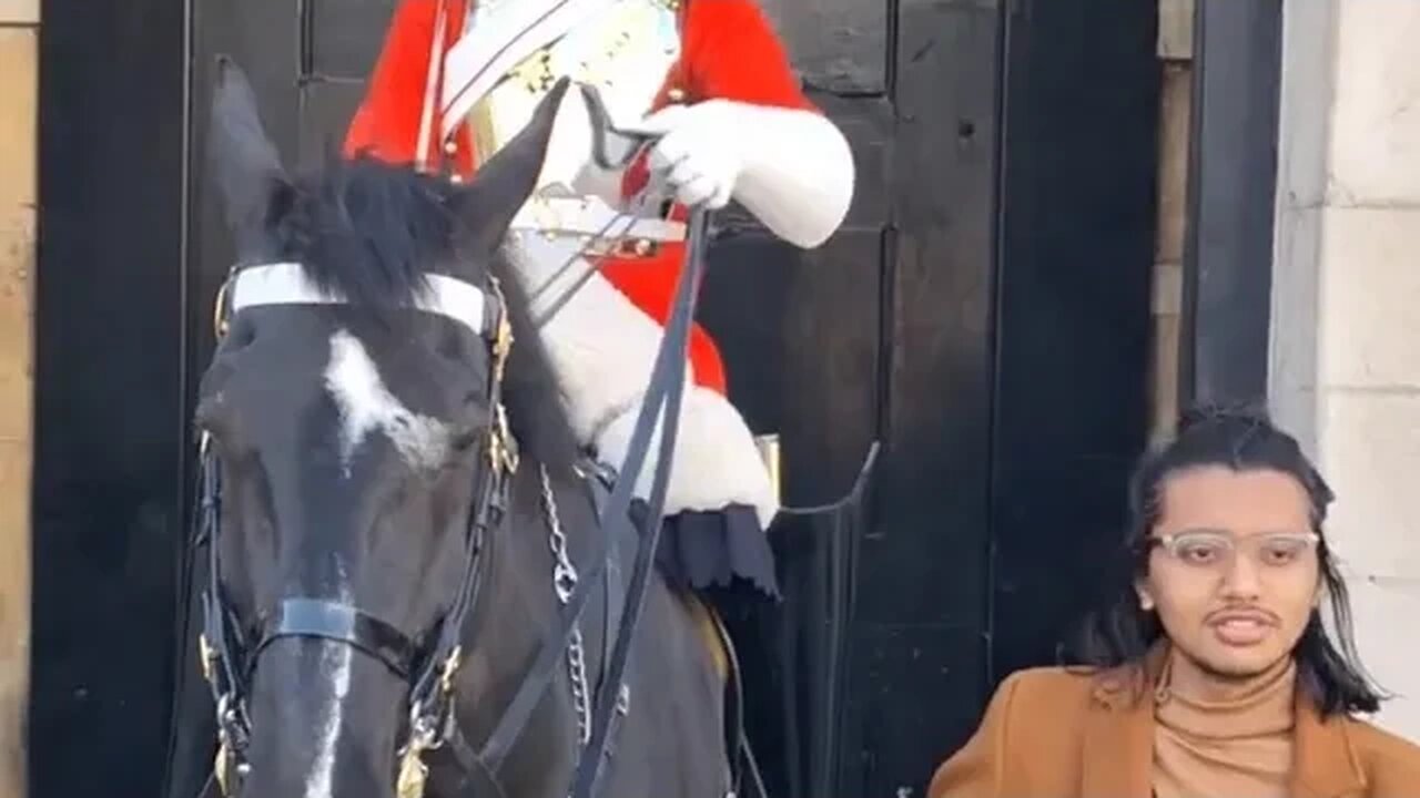 No real consequences for rein grabbing #horseguardsparade