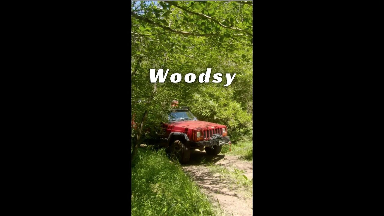Woodsy - Jeep Cherokee XJ Sneaking Through in the Deep Woods of Pennsylvania #shorts