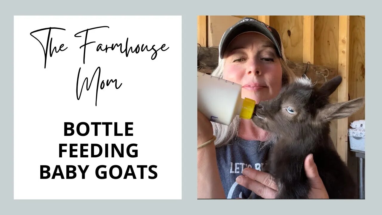 How To Bottle Feed A Baby Goat | Best Baby Goat Bottle To Buy