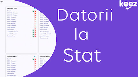 050420211 Datorii la stat