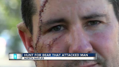 Bear that attacked man still on the run