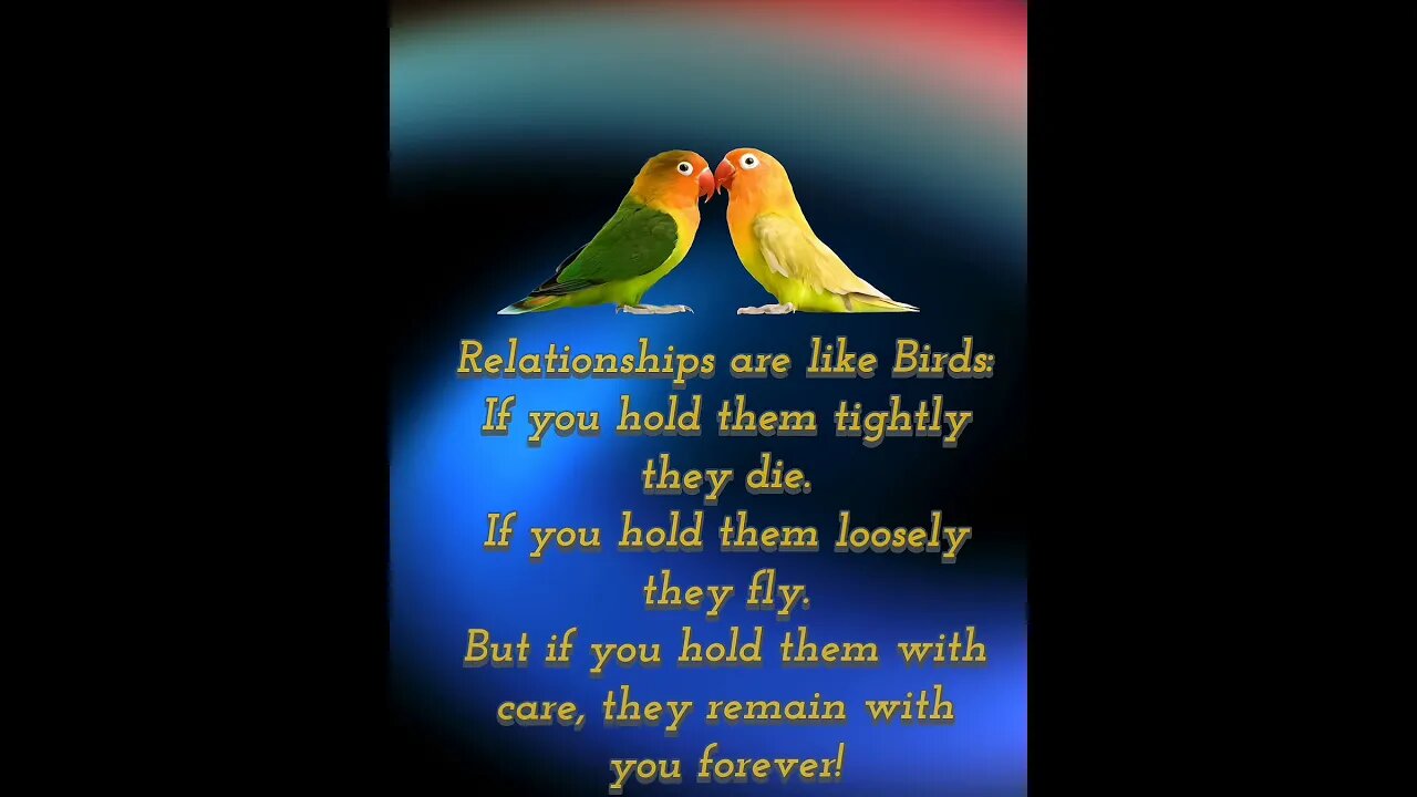 Trust and connection.. it's all about relationships #relationship #birds #truelove