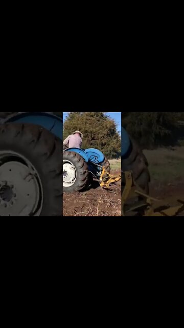 Those who work for their own bread…