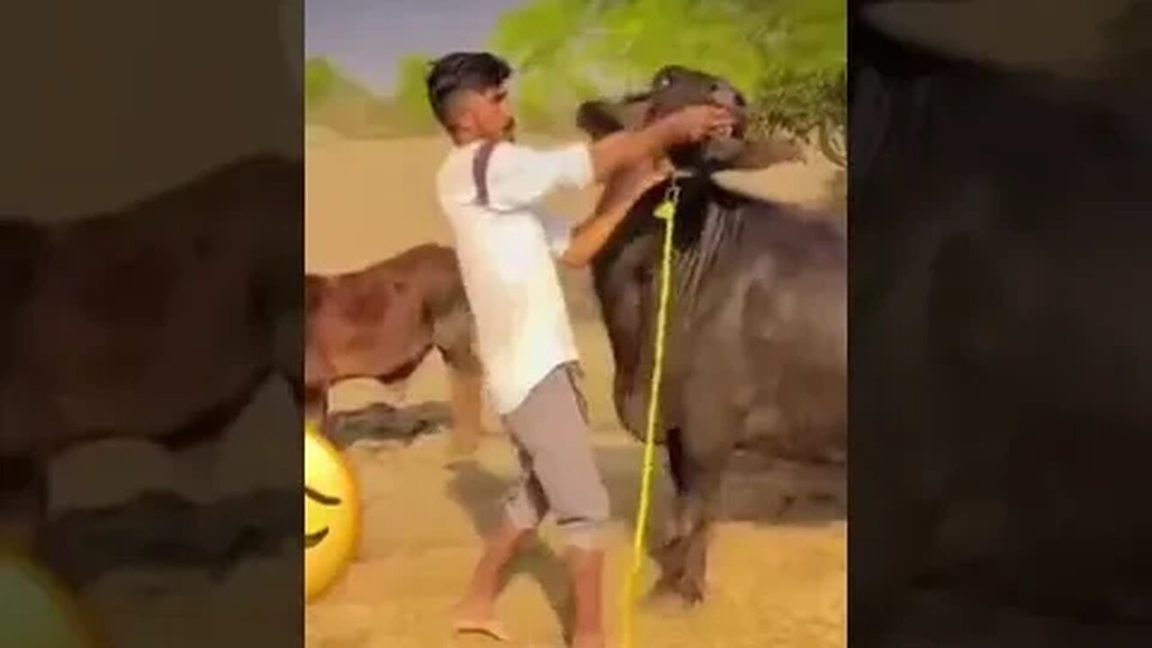 😂😂🎧😁🔥😱 funny clip #ytshorts #viral #funny #shortsfeed #shorts