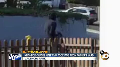 Neighbor chases man who took dog from owner's yard