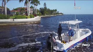 Cape Coral approves use of bubble curtains to fight blue-green algae blooms