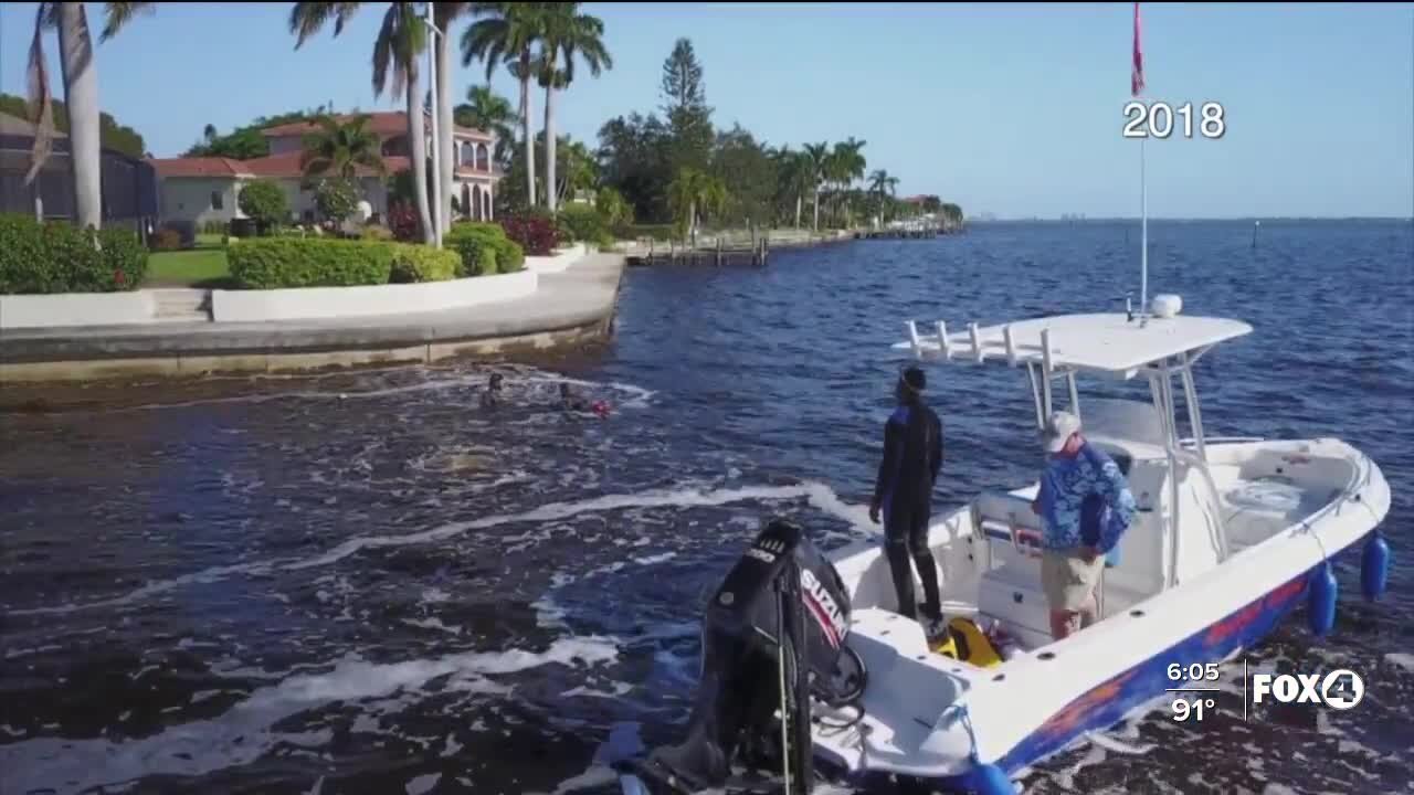 Cape Coral approves use of bubble curtains to fight blue-green algae blooms