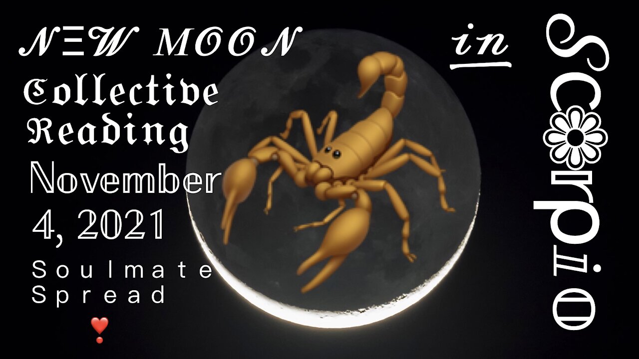 New Moon 🌙 in Scorpio Collective Reading: Soulmate Spread ❣️ November 4, 2021