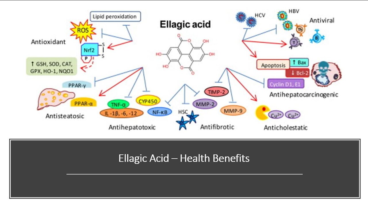 Ellagic Acid Benefits