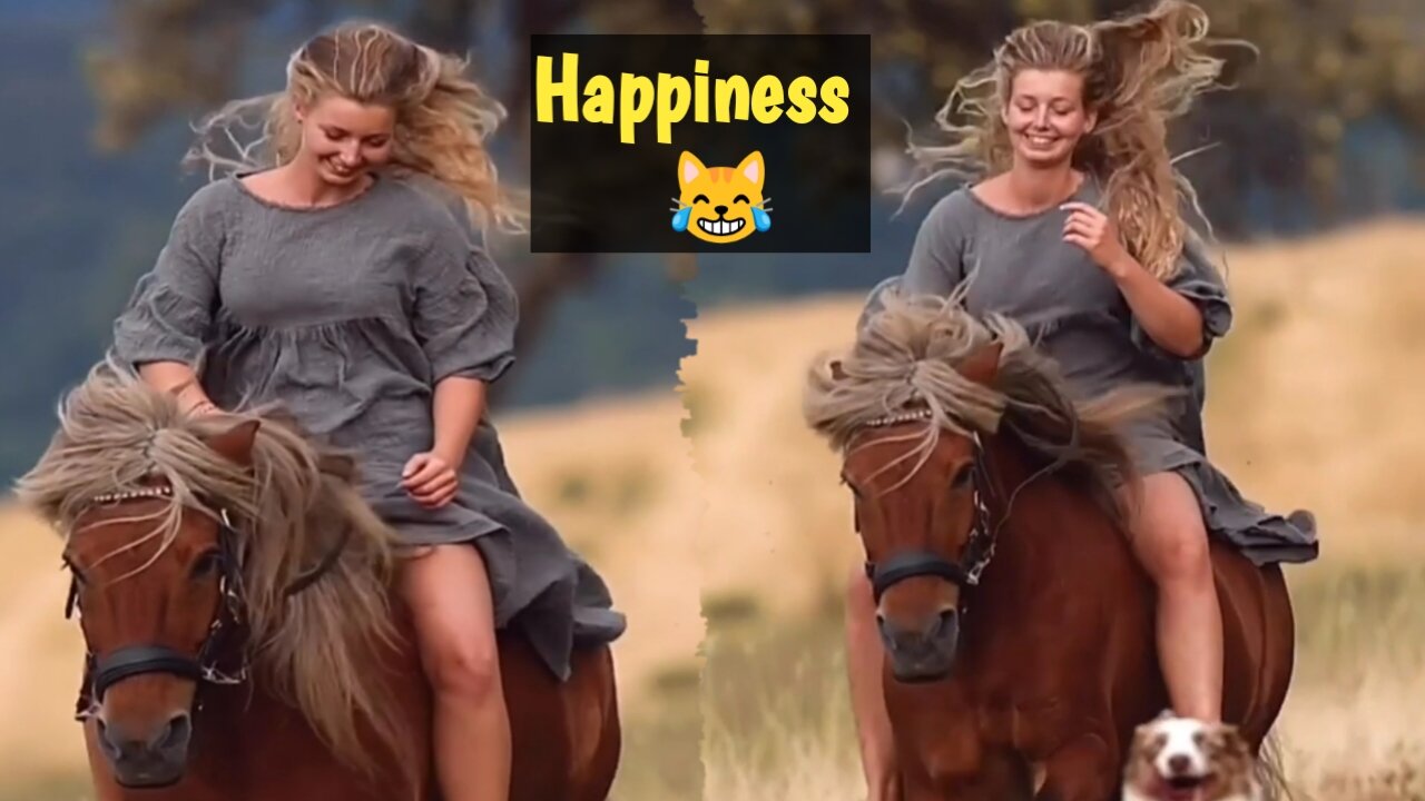 HAPPINESS WITH FAVORITE PET ANIMALS - HORSE 🐎 AND DOG 🐕