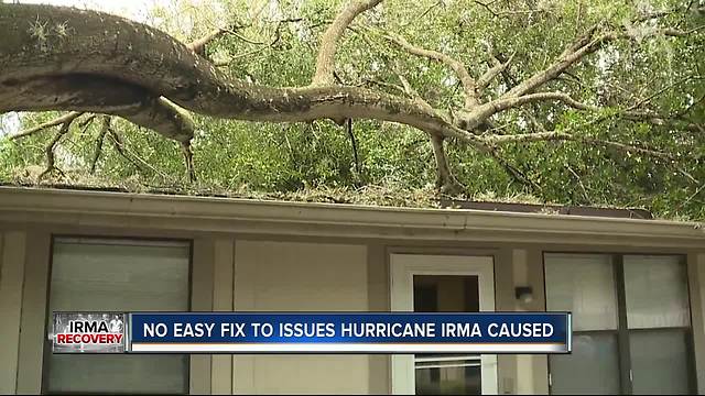 Lawmakers Grappling Lessons Learned From Hurricane Irma