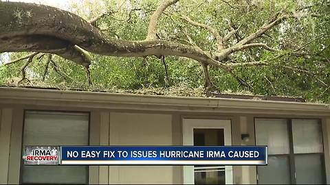 Lawmakers Grappling Lessons Learned From Hurricane Irma