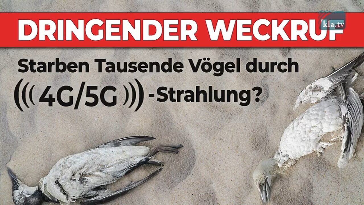 5G Strahlung vollkommen ungefährlich- oder doch nicht?