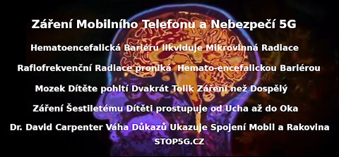 Záření mobilního telefonu a nebezpečí 5G - CellPhone Radiation and 5G Dangers