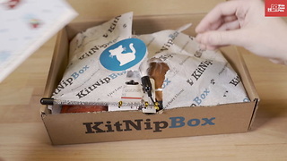 KitNip Unboxing